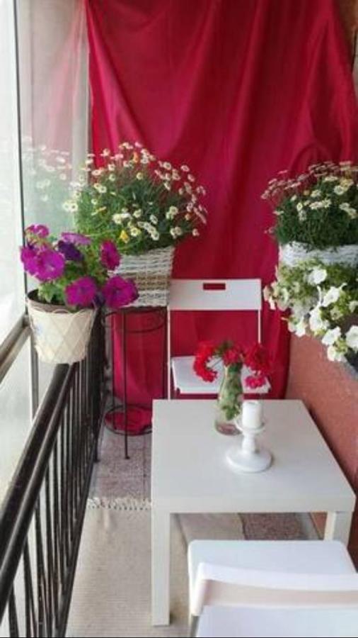 Guest house & In The Rosy Garden 3*