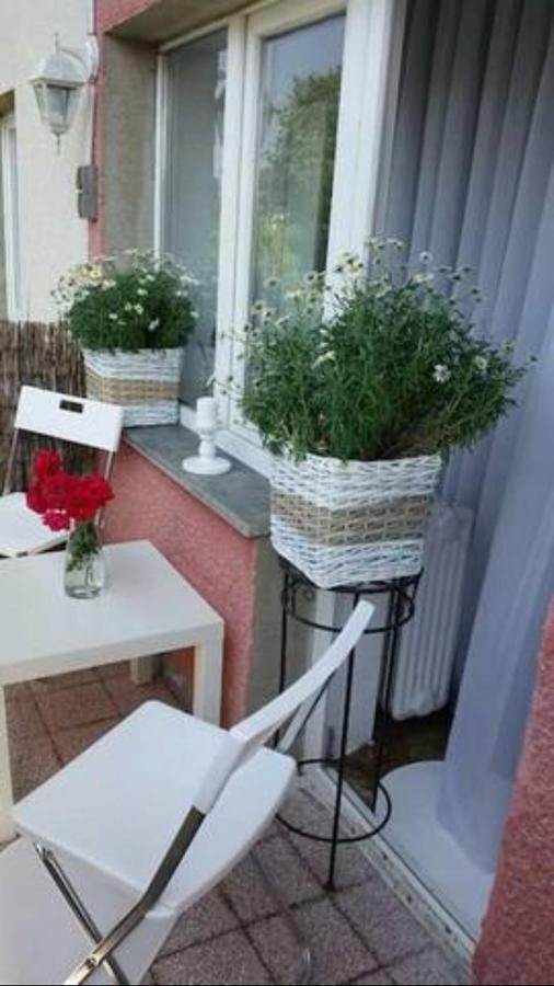 & In The Rosy Garden Guest house Ljubljana