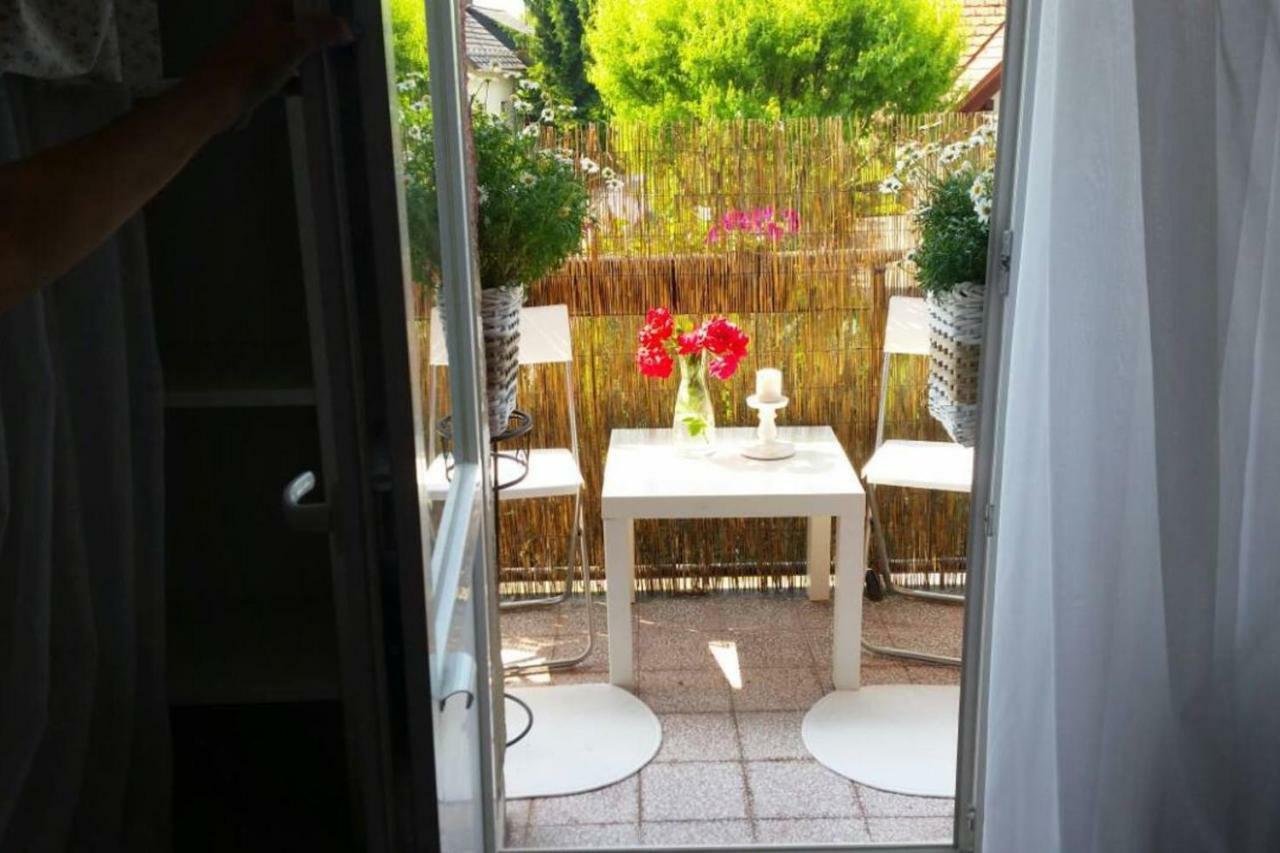 Guest house & In The Rosy Garden